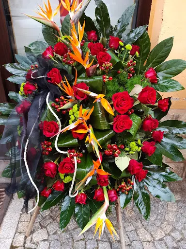 Kwiaciarnia Spartakus - P.H.U.Barbara Skubisz